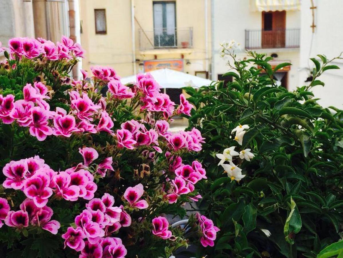 Ai Dammusi Rooms San Vito Lo Capo Exteriér fotografie